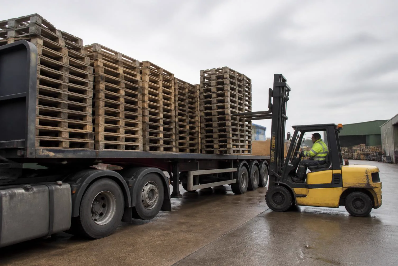 Forklift loading stacks of wooden pallets onto a flatbed lorry at a commercial yard